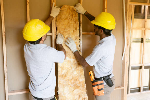 Best Eco-Friendly Insulation Solutions  in Maili, HI